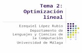 Tema 2: Optimización lineal Ezequiel López Rubio Departamento de Lenguajes y Ciencias de la Computación Universidad de Málaga.