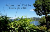 Fotos De Chile Efectos