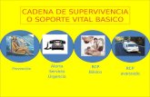 CADENA DE SUPERVIVENCIA O SOPORTE VITAL BASICO Prevención RCP Básico Alerta Servicio Urgencia RCP avanzado.
