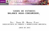 CASOS DE ESTUDIO: BALANCE AGUA-CONSUMIDOR, I NG. S ANDRA D. H ERRERA F LORES S UBSECRETARIA DE F OMENTO Y N ORMATIVIDAD A MBIENTAL J UNIO DE 2011.