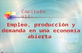 Capítulo VII: Empleo, producción y demanda en una economía abierta.