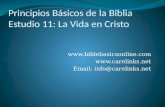 Www.biblebasicsonline.com  Email: info@carelinks.net Principios Básicos de la Biblia Estudio 11: La Vida en Cristo.