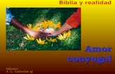 Biblia y realidadAmorconyugal Diseño: J. L. Caravias sj.