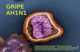 GRIPE AH1N1 fotografía del virus de la gripe fué tomada por Cynthia Goldsmith y donada a la Wikipedia por los doctores Erskine, Palmer y Martinel del CDC.