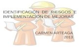 IDENTIFICACIÓN DE RIESGOS E IMPLEMENTACIÓN DE MEJORAS CARMEN ARTEAGA 2013.