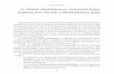 Doc05 ampliación   perfil profesional docente para FTP