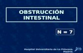 OBSTRUCCIÓN INTESTINAL Hospital Universitario de La Princesa. Madrid. N = 7.