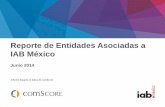 Reporte de Entidades asociadas a IAB México, junio 2014 - comScore