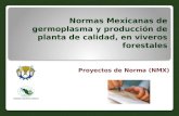 Normas Mexicanas de germoplasma y producción de planta de calidad, en viveros forestales Proyectos de Norma (NMX)