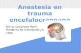 Anestesia en trauma encefalocraneano Eliana Castañeda Marín Residente de Anestesiología UdeA.