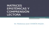 MATRICES EPISTÉMICAS Y COMPRENSIÓN LECTORA Dr. Waldemar José CERRÓN ROJAS.