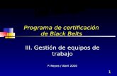 1 Programa de certificación de Black Belts III. Gestión de equipos de trabajo P. Reyes / Abril 2010.