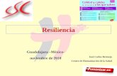 1 Resiliencia José Carlos Bermejo Centro de Humanización de la Salud Guadalajara –México- noviembre de 2010.