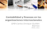 contabilidad y finanzas en las organizaciones internacionales
