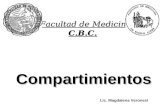 Compartimientos C.B.C. Facultad de Medicina Universidad de Buenos Aires Lic. Magdalena Veronesi.