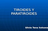 TIROIDES Y PARATIROIDES Silvia Tena Solsona. Tiroides.