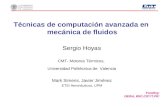 Técnicas de computación avanzada en mecánica de fluidos Sergio Hoyas CMT- Motores Térmicos, Universidad Politécnica de Valencia Funding: DEISA, BSC,CICYT,PIC.