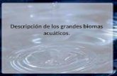 Descripción de los grandes biomas acuáticos.. 0- Introducción Limnología: es la ciencia que estudia los ecosistemas de los lagos y lagunas. ¿Cuánta agua.