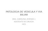PATOLOGIA DE VESICULA Y VIA BILIAR DRA. CAROLINA JIMENEZ J. ASISTENTE DE CIRUGIA HCG.