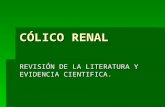 CÓLICO RENAL REVISIÓN DE LA LITERATURA Y EVIDENCIA CIENTIFICA.