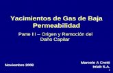1 Yacimientos de Gas de Baja Permeabilidad Parte III – Origen y Remoción del Daño Capilar Marcelo A Crotti Inlab S.A. Noviembre 2008.