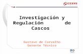 Investigación y Regulación de Cascos Gustavo de Carvalho Gerente Técnico.