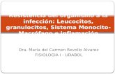 Dra. María del Carmen Revollo Alvarez FISIOLOGIA I - UDABOL Resistencia del organismo a la infección: Leucocitos, granulocitos, Sistema Monocito-Macrófago.