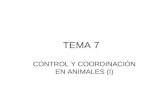 TEMA 7 CONTROL Y COORDINACIÓN EN ANIMALES (I). Los sistemas de coordinación en los animales son el sistema nervioso y el sistema endocrino. Su función.