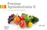 Procesos Agroindustriales II Ing. María Elena Ramírez 3T1 IAI Agosto 2013.
