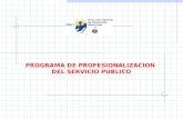 PROGRAMA DE PROFESIONALIZACION DEL SERVICIO PUBLICO.