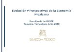 Evolución y Perspectivas de la Economía Mexicana Reunión de la AMSDE Tampico, Tamaulipas Junio 2010.
