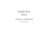 GENETICA 2011 PARTE II: HERENCIA Teorica 6. DOMINANCIAS A DISTINTOS NIVELES DE FENOTIPO FIBROSIS QUISTICA.