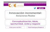 Innovación incremental: Soluciones Reales. Fidel Rodríguez Batalla