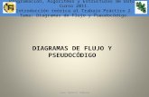 Juan Ignacio Talpone1 Programación, Algoritmos y Estructuras de Datos. Introducción teórica al Trabajo Práctico 6. DIAGRAMAS DE FLUJO Y PSEUDOCÓDIGO Programación,