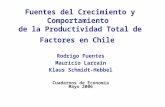 Fuentes del Crecimiento y Comportamiento de la Productividad Total de Factores en Chile Rodrigo Fuentes Mauricio Larraín Klaus Schmidt-Hebbel Cuadernos.