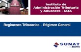 Regímenes Tributarios – Régimen General Instituto de Administración Tributaria y Aduanera - IATA.