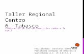 Taller Regional Centro 6. Tabasco integración de las declaratorias rumbo a la COP17 Facilitadora: Constanza Gómez Mont Plataforma Integral de Desarrollo.