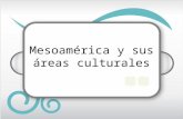 Mesoamérica y sus áreas culturales. El espacio geográfico de Mesoamérica Comprende, por el norte, desde el río Pánuco, en Tamaulipas, hasta el río Sinaloa,