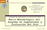 Esquema de Seguimiento y Evaluación PESA Marco Metodológico del Esquema de Seguimiento y Evaluación del PESA Ciudad de México Diciembre, 2008. PROYECTO.