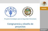 Proyecto Estratégico para la Seguridad Alimentaria Congruencia y diseño de proyectos Noviembre, 2008.
