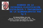 AVANCES EN LA PATOGENIA,CLASIFICACIÓN HISTOLÓGICA Y TRATAMIENTO DE LA GLOMERULOPATÍA POR Ig A Dr. Antonio Vilches, FACP, FASN Doctor de la Universidad.