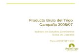 Producto Bruto del Trigo Campaña 2006/07 Instituto de Estudios Económicos Bolsa de Cereales Para ARGENTRIGO.
