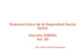 Sistema Único de la Seguridad Social SUSS Decreto 2284/91 Art. 85 Dra. Mirta Noemí Userpater.