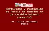 Fertilidad y Protocolos de Recría de hembras en un establecimiento comercial Dr. Carlos Fernández Pazos.