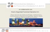 En colaboración con Ovarro Seguridad Funcional Operativa S.C. Ofrece Servicios de Análisis de Riesgos, Verificaciones y Certificaciones en Materias de.