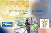 ORIENTACIONES GENERALES PARA EL DESARROLLO DE LA INDUCCIÓN EN TODOS LOS CENTROS DEL SENA APRENDIZ SENA: LUIGI NOYIRI CASTILLO M.