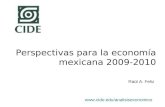 Perspectivas para la economía mexicana 2009-2010  Raúl A. Feliz.