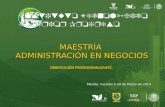 Instituto Tecnológico Superior Progreso MAESTRÍA ADMINISTRACIÓN EN NEGOCIOS Mérida, Yucatán a 28 de Marzo de 2014 ORIENTACIÓN PROFESIONALIZANTE.