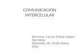 COMUNICACIÓN INTERCELULAR Alumna: Laura Elena López Gamboa Docente: Dr. Sixto Sosa Díaz.