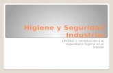 Higiene y Seguridad Industrial UNIDAD 1. Introducción a la seguridad e higiene en el trabajo.